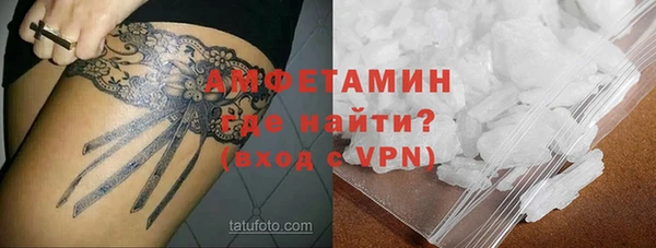 прущие грибы Касимов