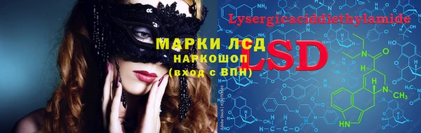 прущие грибы Касимов