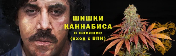 гашик Карпинск