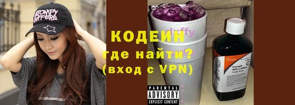 гашик Карпинск