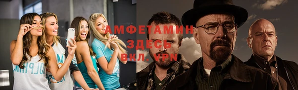 прущие грибы Касимов