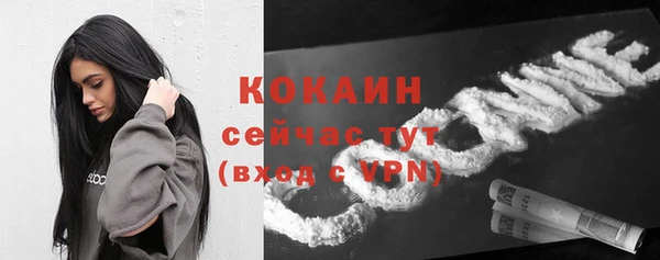 прущие грибы Касимов