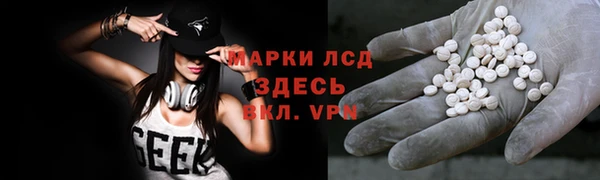 гашик Карпинск