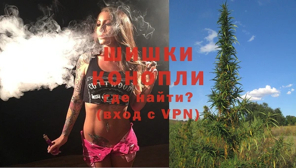 гашик Карпинск