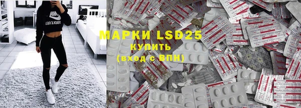 прущие грибы Касимов