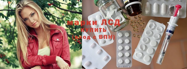прущие грибы Касимов
